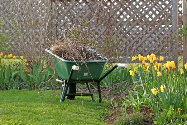 Flower Bed Cleanup Service in Albuquerque
