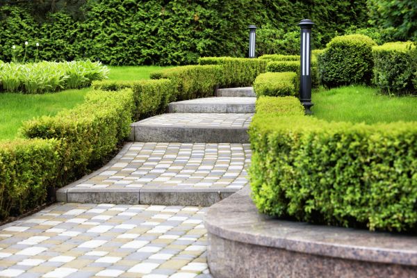 Backyard Remodeling in Albuquerque