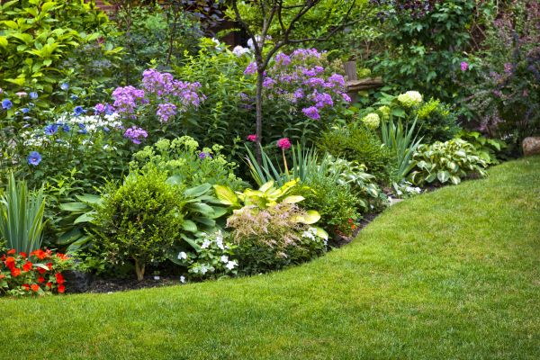 Flower Bed Service in Albuquerque