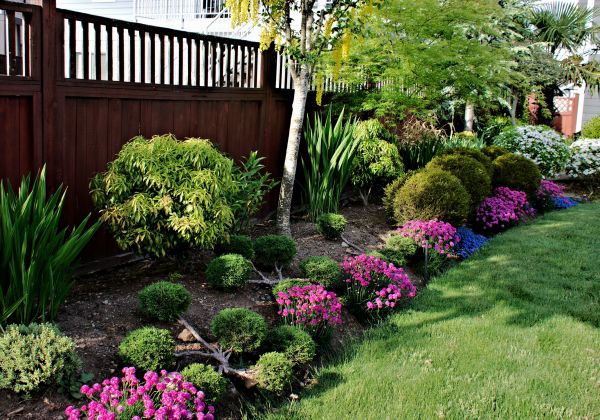 Garden Care Service in Albuquerque