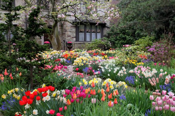 Garden Maintenance Service in Albuquerque