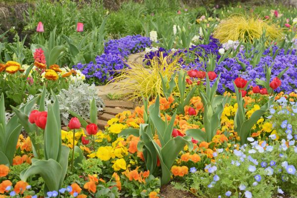 Garden Renovation in Albuquerque
