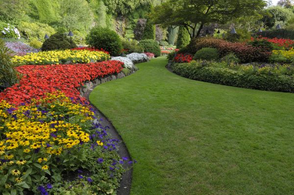 Landscaping Maintenance in Albuquerque