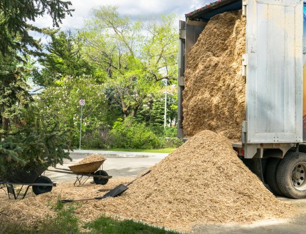 Wood Chips Delivery in Albuquerque
