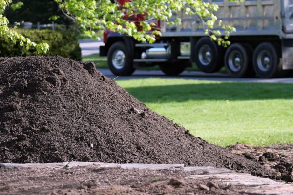 Yard Dirt Delivery in Albuquerque