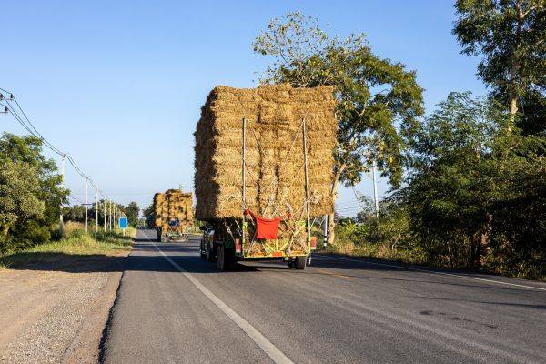 Pine Straw Delivery in Albuquerque