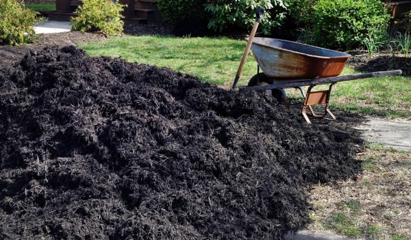 Black Mulch Delivery in Albuquerque