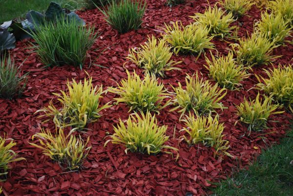 Mulch Landscaping in Albuquerque