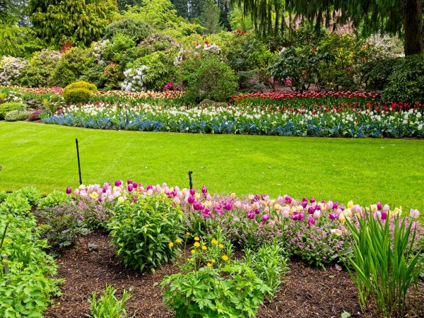 Residential Landscape Design in Albuquerque