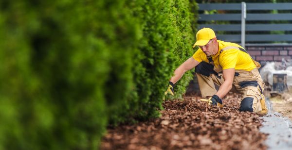 Cypress Mulch Installation in Albuquerque