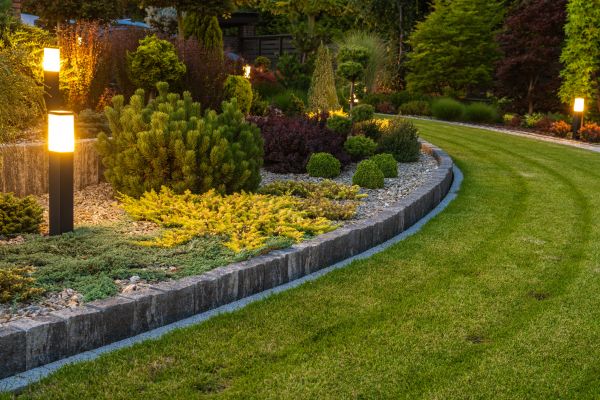 Garden Repair Service in Albuquerque