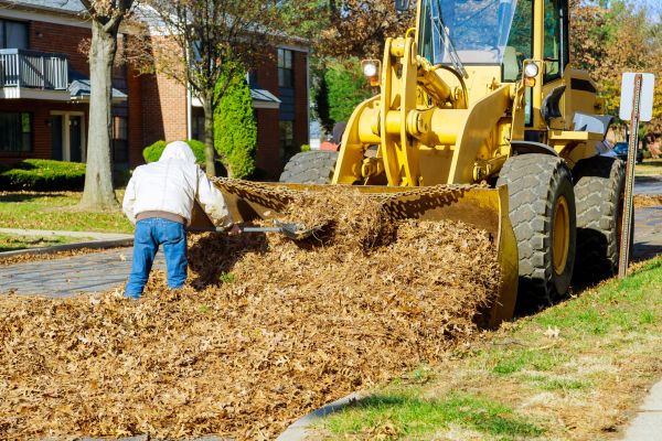 Mulch Hauling in Albuquerque