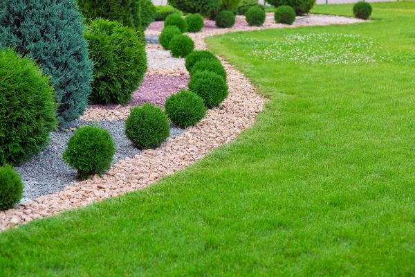 Edging Stones Installation in Albuquerque