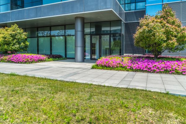 Commercial Gardening in Albuquerque