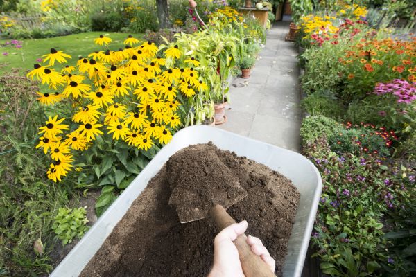 Topsoil Replacement in Albuquerque