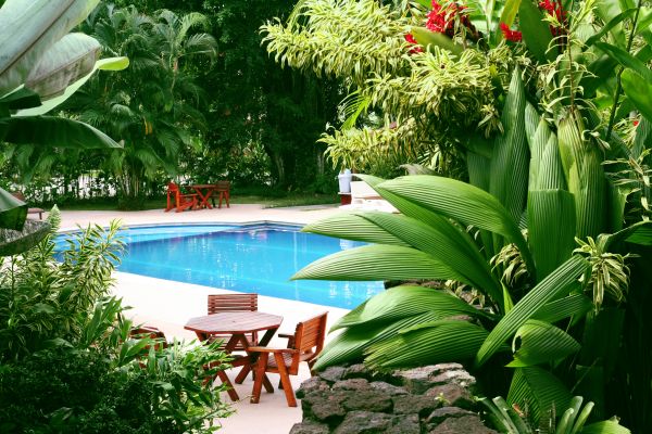 Pool Area Landscaping in Albuquerque
