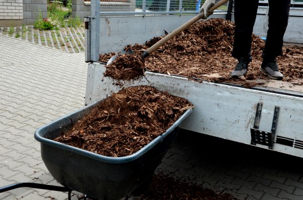 Cedar Mulch Delivery in Albuquerque
