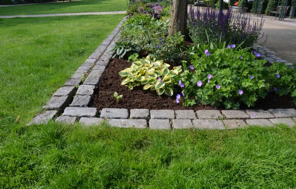 Flower Bed Mulching in Albuquerque