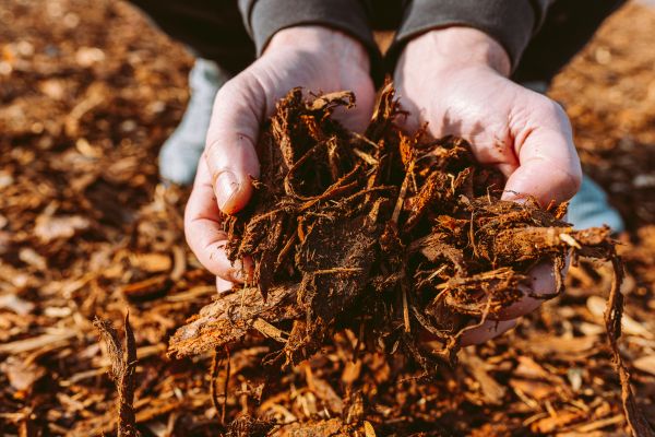 Bark Chips Delivery in Albuquerque