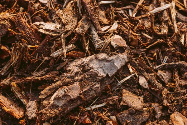Bark Mulch Delivery in Albuquerque