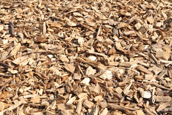 Wood Mulch Delivery in Albuquerque