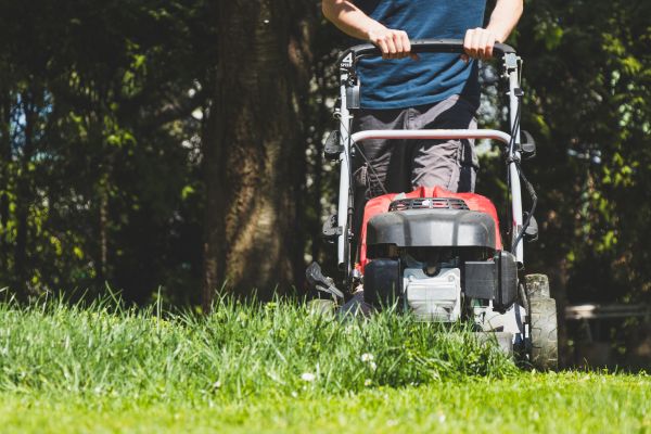 Garden Trimming Service in Albuquerque