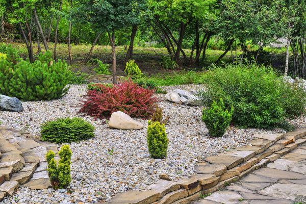 Hardscape Landscaping in Albuquerque