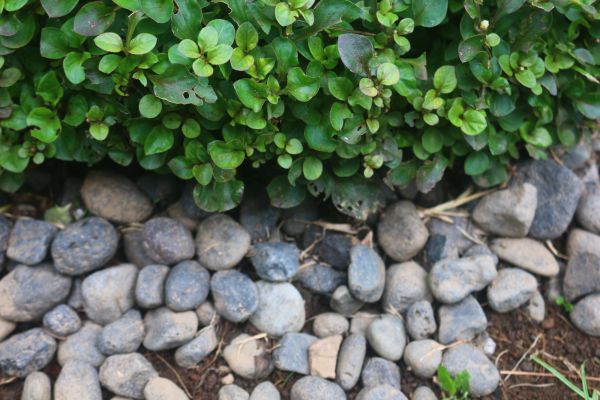 River Stone Installation in Albuquerque
