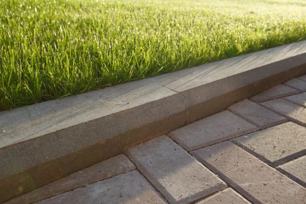 Lawn Edging Replacement in Albuquerque