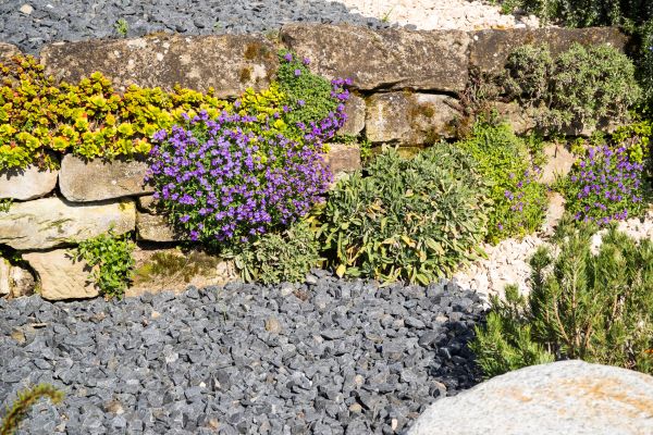 Landscaping Rocks Installation in Albuquerque