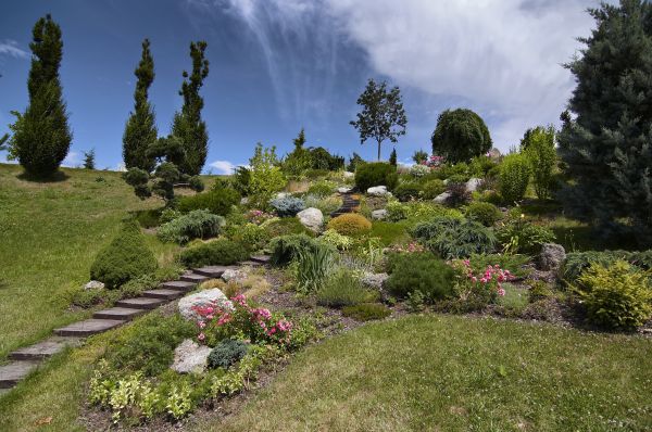 Steep Terrain Landscaping in Albuquerque