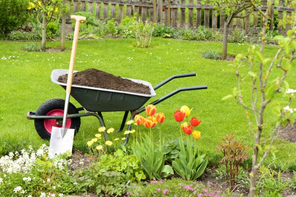 Spring Yard Renovation in Albuquerque