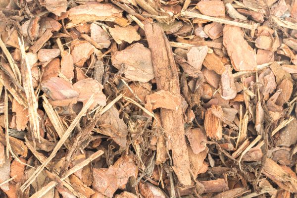 Bark Mulch Installation in Albuquerque