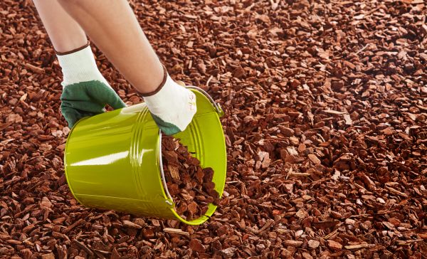 Wood Chip Landscaping in Albuquerque