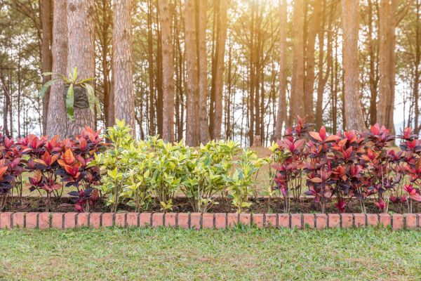 Small Garden Landscaping in Albuquerque