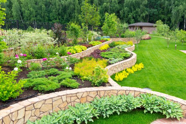 Home Garden Landscaping in Albuquerque