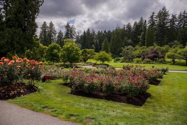Flower Garden Landscaping in Albuquerque